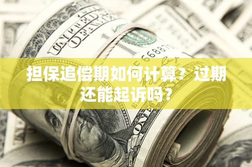 武汉担保追偿期如何计算？过期还能起诉吗？